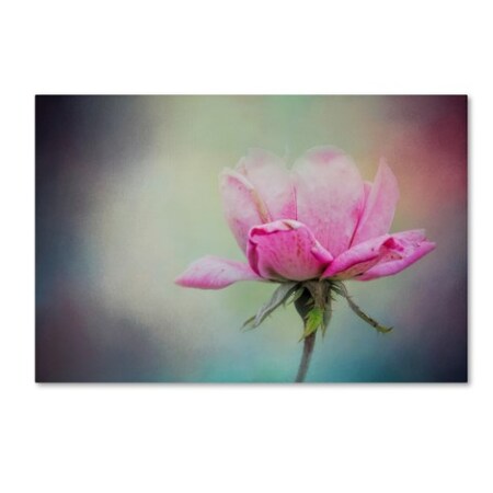 Trademark Fine Art Jai Johnson 'The Last Pink Rose' Canvas Art, 22x32 ALI14430-C2232GG